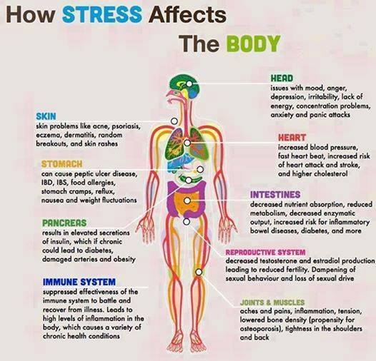 stress_on_body