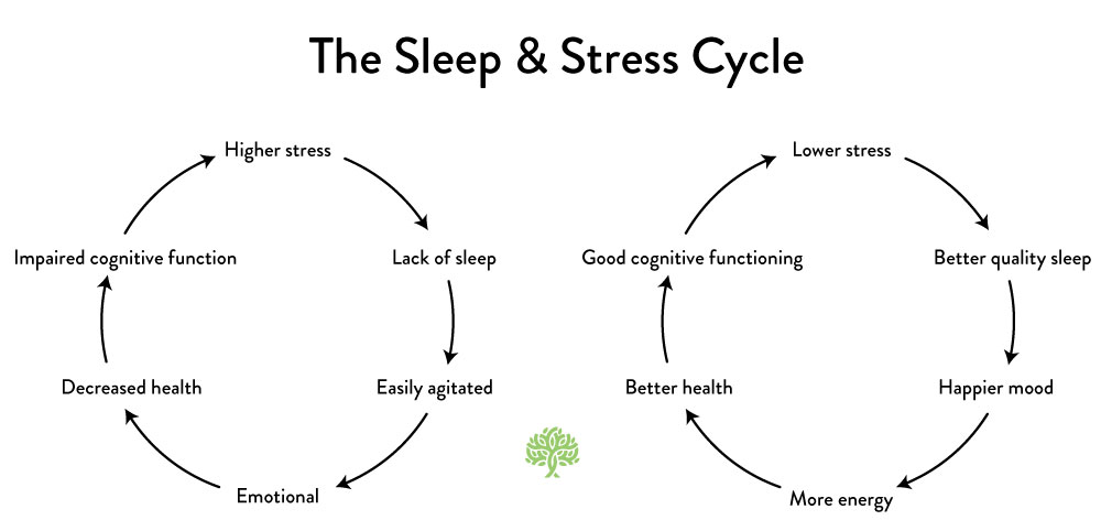 stress and sleep.jpg